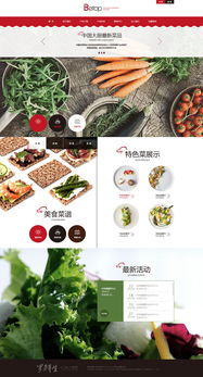 天津奔唐網(wǎng)絡(luò) 打造綠色養(yǎng)生食品官網(wǎng)的開(kāi)發(fā)與維護(hù)之道